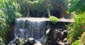 De un río natural y tesoro para muchos, a río convertido en vertedero