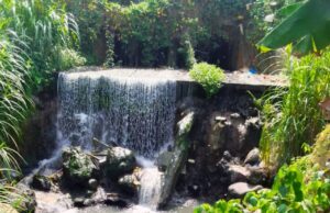 De un río natural y tesoro para muchos, a río convertido en vertedero