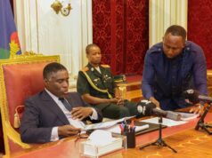 Prohibida la exportación de madera en rollo: el Ejecutivo activa un nuevo control forestal