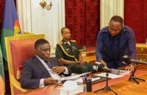 Prohibida la exportación de madera en rollo: el Ejecutivo activa un nuevo control forestal