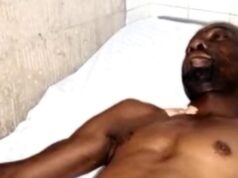 Brutal ataque de un elefante a un trabajador en el distrito de Akurenam lo deja herido