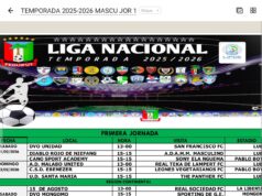 La Liga Nacional de fútbol de Guinea Ecuatorial podría dar inicio dentro de poco