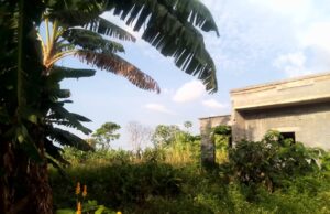 Dejar un terreno sin visitar facilita su ocupación progresiva, según una investigación