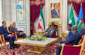 Gobierno refuerza auditorías y control del gasto para integrar hospitales de INSESO al sistema sanitario nacional