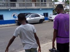 Baterías a casa por miedo a los ladrones