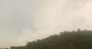 Trágico atropello en la carretera Río Campo–Bindung deja un fallecido sin identificar