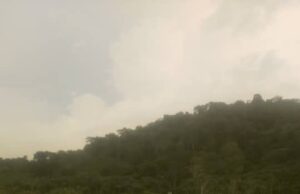 Trágico atropello en la carretera Río Campo–Bindung deja un fallecido sin identificar