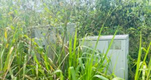 Bata: QUÉ PASA CON EL TEMA DEL MANTENIMIENTO DE LAS ARQUETAS DE LUZ