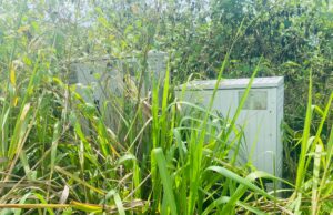 Bata: QUÉ PASA CON EL TEMA DEL MANTENIMIENTO DE LAS ARQUETAS DE LUZ