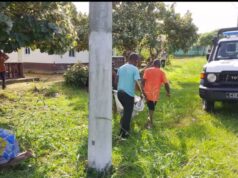 Muere una niña de cuatro años tras ser atropellada en Añisok