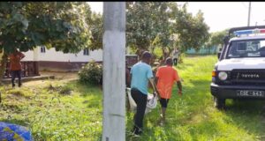 Muere una niña de cuatro años tras ser atropellada en Añisok