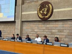 Guinea Ecuatorial busca rentabilizar su riqueza forestal en la economía verde global