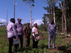 La Dirección General de Urbanismo evalúa el estado de las zonas urbanas y la ocupación de terrenos en la ciudad de La Paz