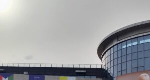 Papa León XIV: «el problema no está en el conocimiento sino en su saber»