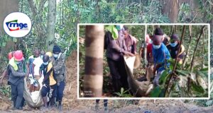 Akurenam: un trabajador muere tras ser alcanzado por un árbol en una empresa forestal