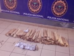 La Policía detiene en Bata a una mujer con 172 tiras de Tramadol y 106 paquetes de Banga ocultos en un saco
