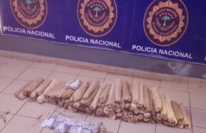 La Policía detiene en Bata a una mujer con 172 tiras de Tramadol y 106 paquetes de Banga ocultos en un saco