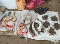 Animada jornada comercial en el mercado de Mondohasi