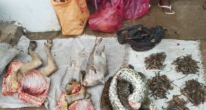 Animada jornada comercial en el mercado de Mondohasi