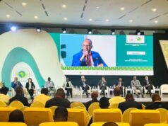 Visado electrónico, menos tasas y más conectividad: la apuesta de Guinea Ecuatorial para transformar su aviación