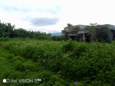 Los terrenos descuidados podrían poner en riesgo a los vecinos