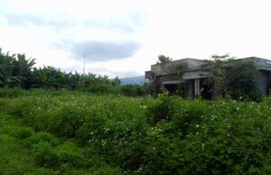 Los terrenos descuidados podrían poner en riesgo a los vecinos