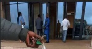 Capturan a un búo en la sala plenaria de la Asamblea Nacional de Camerún