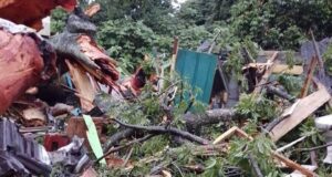 Tres muertos tras el desplome de una ceiba sobre una vivienda en Basupu