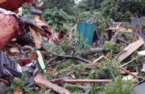 Tres muertos tras el desplome de una ceiba sobre una vivienda en Basupu