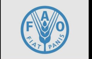 FAO en Guinea Ecuatorial anuncia la vacancia para Asistente de Adquisición ( 2601706 )