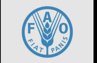FAO en Guinea Ecuatorial anuncia la vacancia para Asistente de Adquisición ( 2601706 )