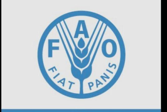 FAO en Guinea Ecuatorial anuncia la vacancia para Asistente de Adquisición ( 2601706 )