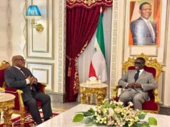 El Vicepresidente recibe al nuevo representante de la ONU para África Central