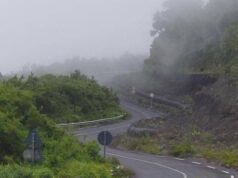¿Y si cada visita al Pico Basile fuera también un compromiso con la naturaleza?