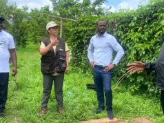 Técnicos agrícolas reciben formación para mejorar el rendimiento de los cultivos en Guinea Ecuatorial