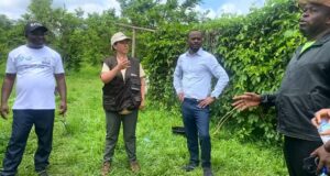 Técnicos agrícolas reciben formación para mejorar el rendimiento de los cultivos en Guinea Ecuatorial
