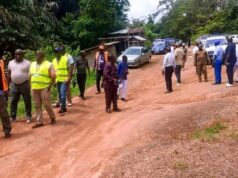 Guinea Ecuatorial volverá a dar electricidad a Gabón tras completar los trabajos de interconexión en Mofub