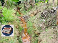 Mondong alerta del riesgo de electrocución por cables eléctricos expuestos junto a un río