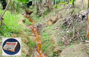 Mondong alerta del riesgo de electrocución por cables eléctricos expuestos junto a un río